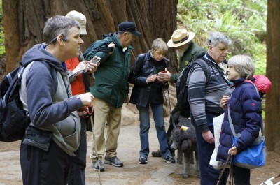 Photo of Testing Audio Description: Muir Woods National Monument, California (2018)