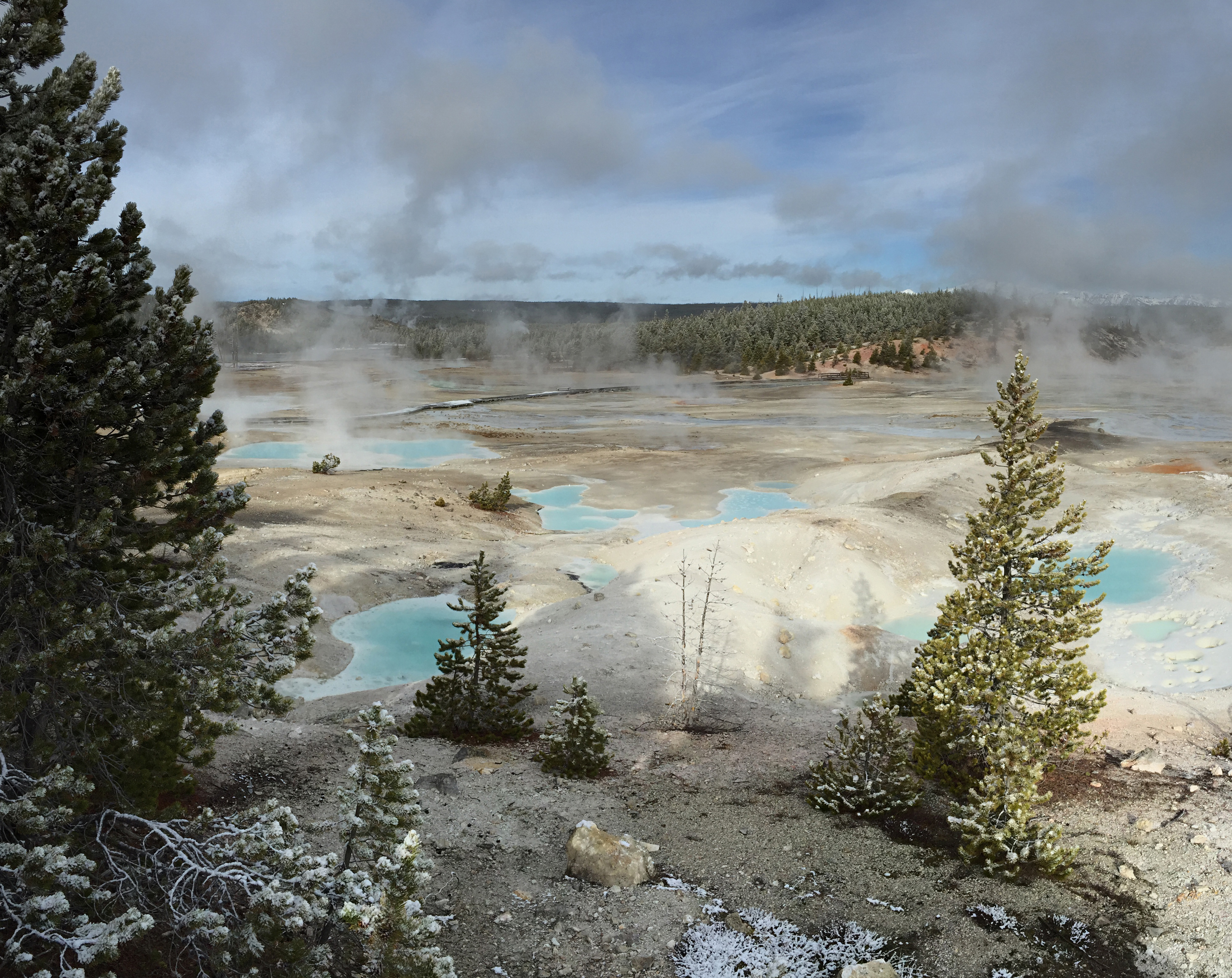 NORRIS GEYSER BASIN section image
