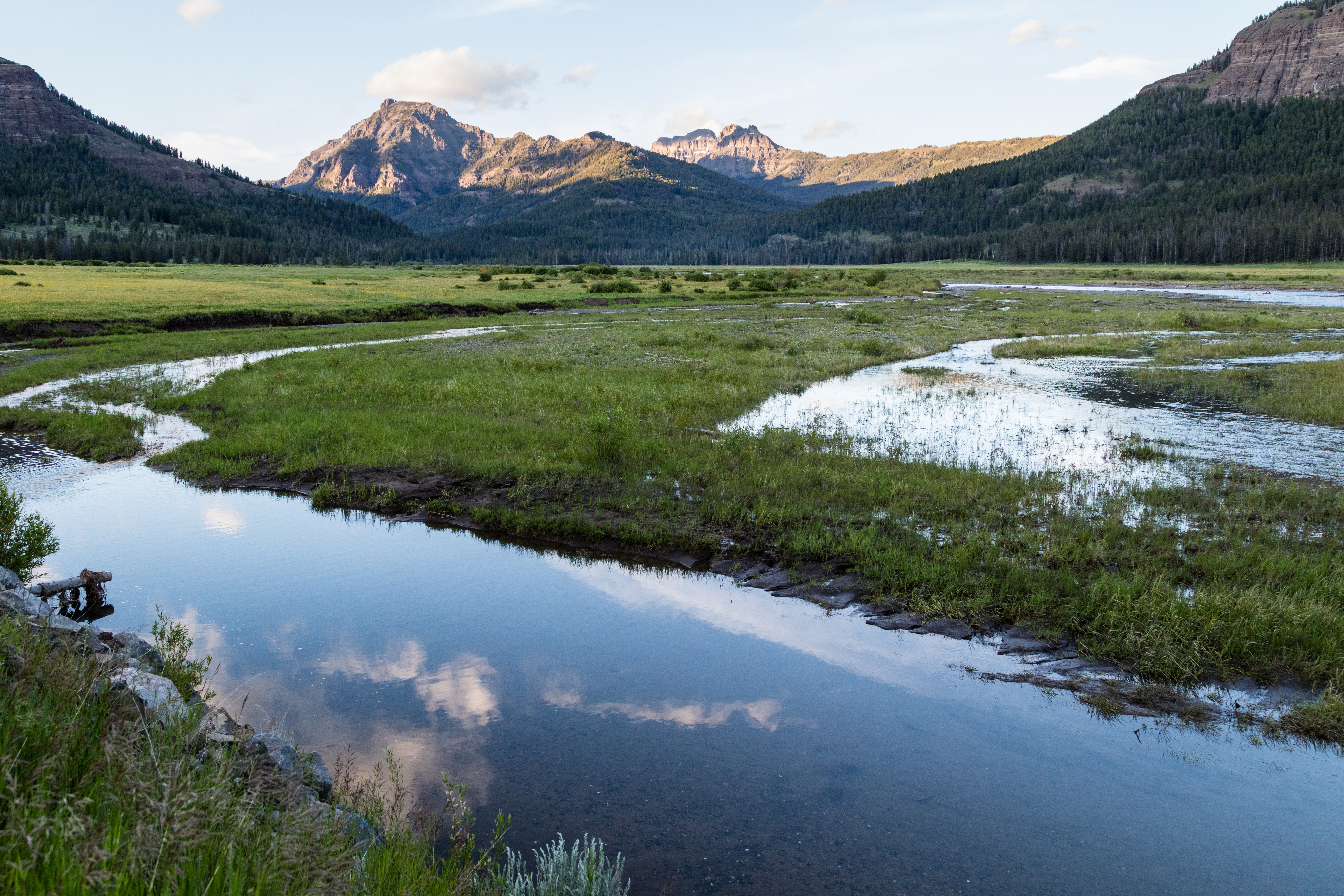 LAMAR VALLEY section image
