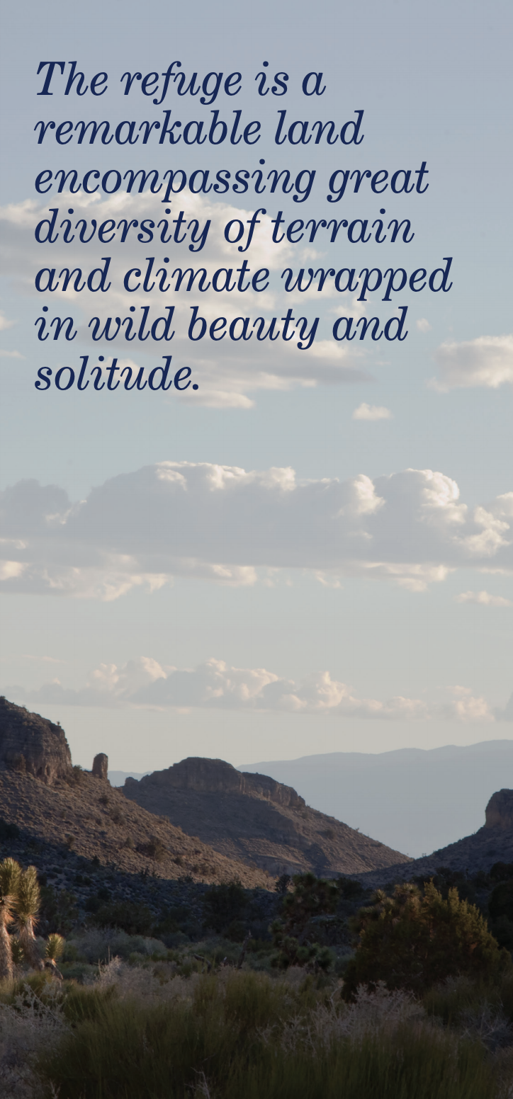 IMAGE AND TEXT: Landscape section image
