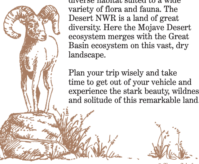 IMAGE AND TEXT: Introduction section image