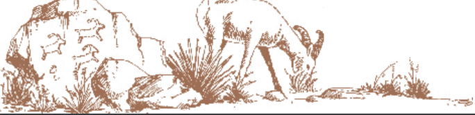 IMAGE AND TEXT: Safety tips for desert section image