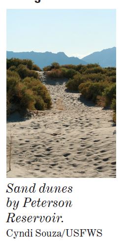 IMAGE and TEXT: Habitats of the refuge section image