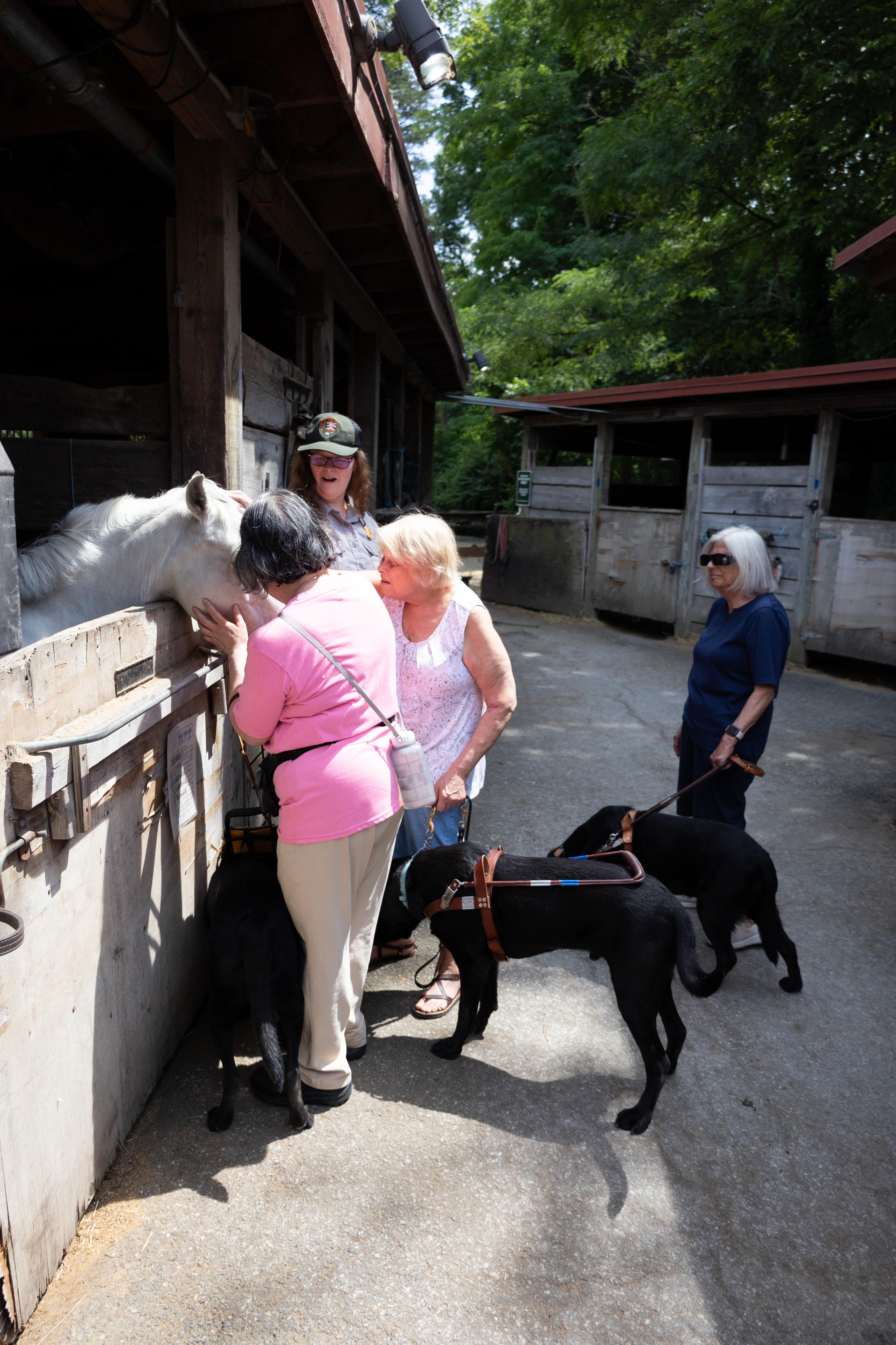 Photo of Testing Audio Description: ACB members at the horse barn (2024)